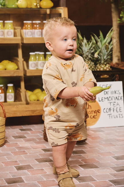 Braune Z8 Socken GIANCARLO - large