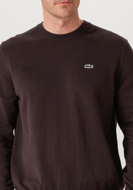 Braune LACOSTE Pullover REGULAR FIT CREW NECK SWEATER - large