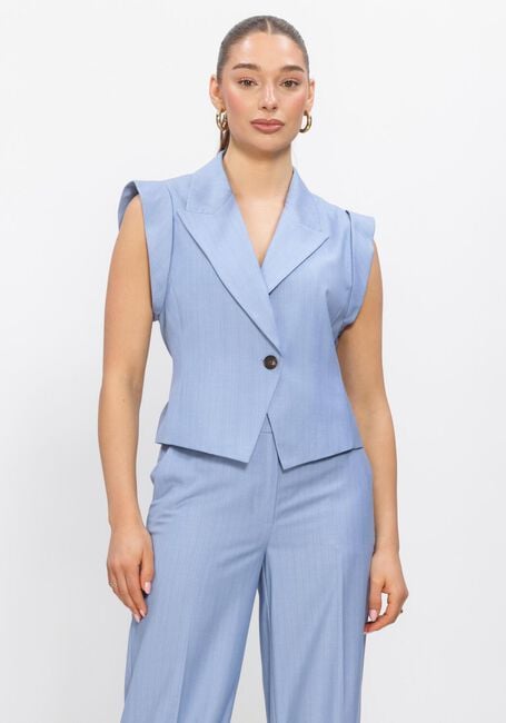 Blaue CO'COUTURE Pullover & Cardigans KIANACC PIN VEST - large