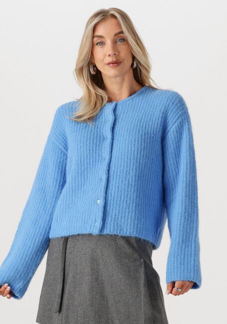 Blaue EDITED Strickjacke ILIANA - large