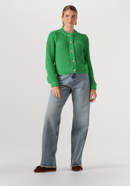 Grüne FABIENNE CHAPOT Strickjacke SUN CARDIGAN - large