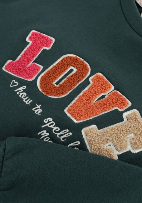 Dunkelgrün MOODSTREET Sweatshirt SWEATER SOFIE - large