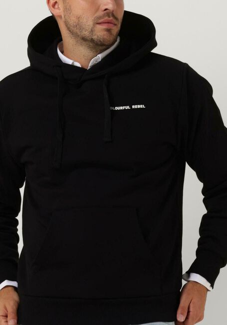 Schwarze COLOURFUL REBEL Sweatshirt CR EST. 2013 BACK PRINT HOODIE - large