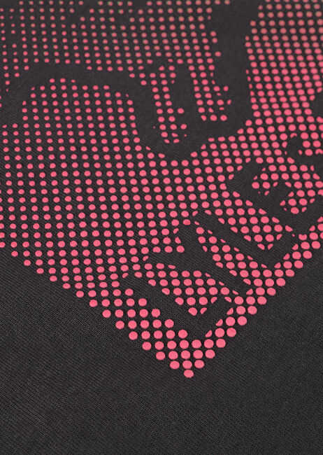 Graue LYLE & SCOTT T-shirt DOTTED EAGLE GRAPHIC T-SHIRT - large