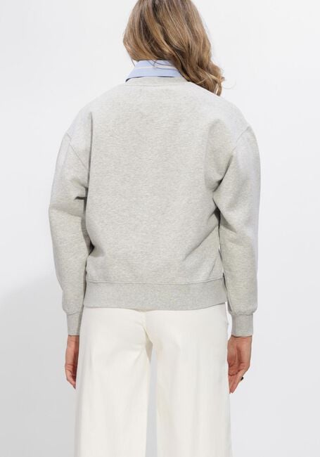 Graue JANICE Pullover & Cardigans OWEN - large