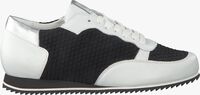Schwarze HASSIA Sneaker low 1624 - medium