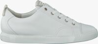 Weiße PAUL GREEN Sneaker low 4435 - medium