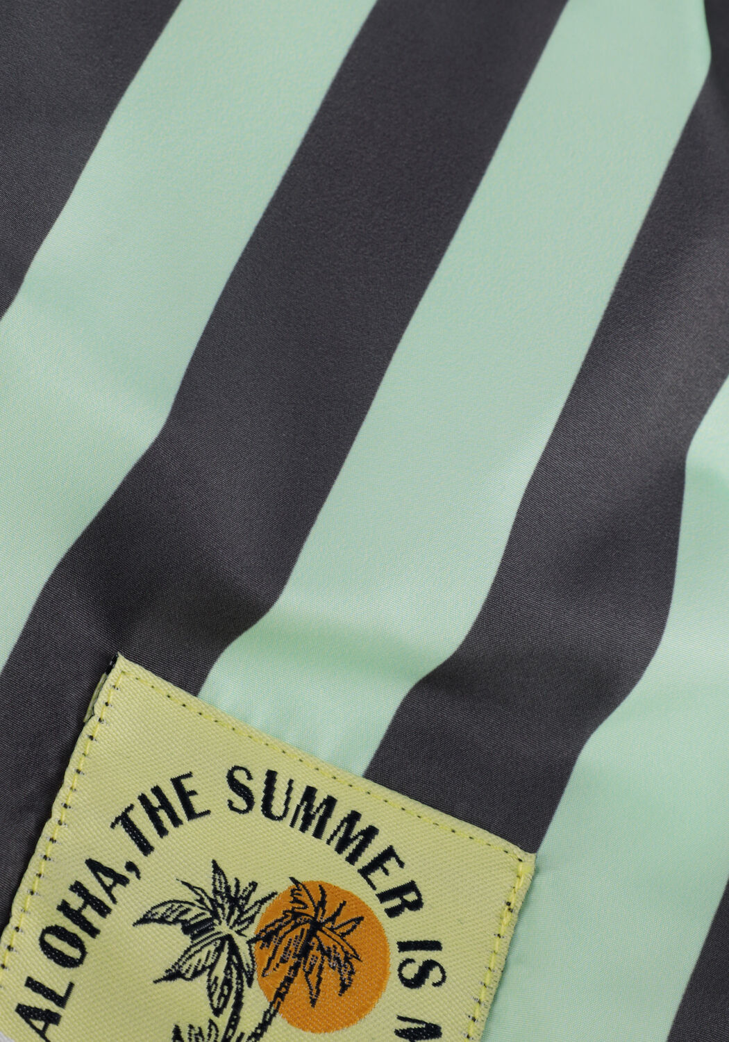 Gr&uuml;ne RETOUR Badehosen PELE - large