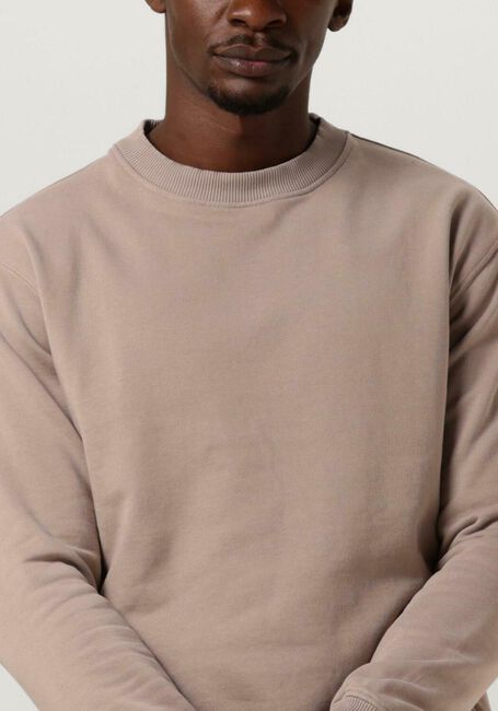 Taupe PUREWHITE Pullover CREWNECK WITH BIG BACK PRINT - large