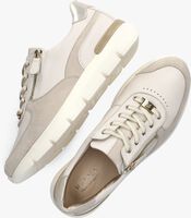 Beige HASSIA Sneaker 301314 - medium