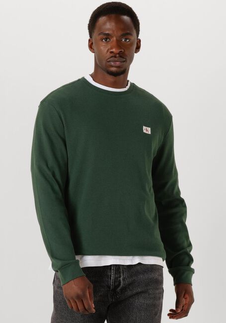 Dunkelgrün CALVIN KLEIN Pullover LS WAFFLE BADGE CREWNK TEE - large