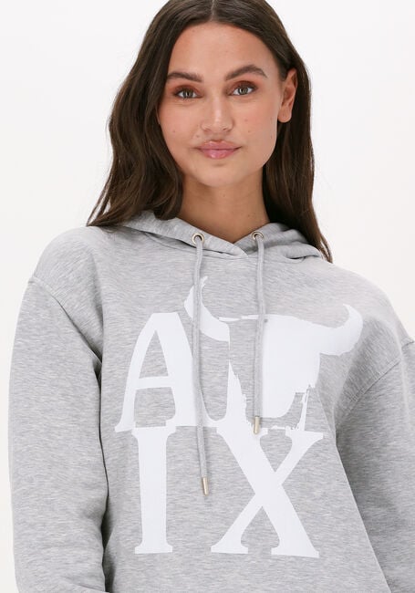 Graue ALIX THE LABEL Pullover ALIX BULL HOODIE - large