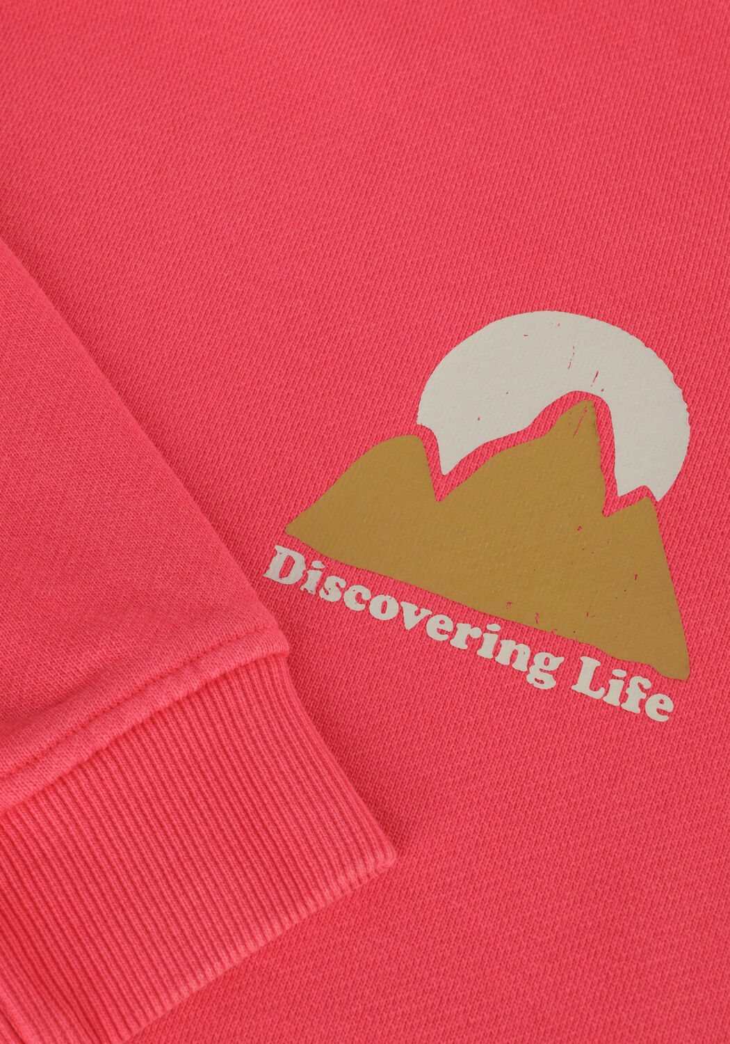 Rote DAILY7 Pullover & Cardigans HOODIE DISCOVERING LIFE - large