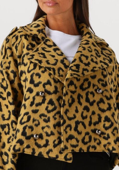 Ocker AMAYA AMSTERDAM Jack LOTUS - large