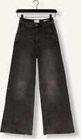 Anthrazit JANICE Wide jeans DEXTER Anthrazit JANICE Wide jeans DEXTER - medium
