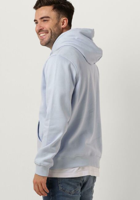 Hellblau TOMMY JEANS Pullover TJM REG LINEAR LOGO HOODIE EXT - large
