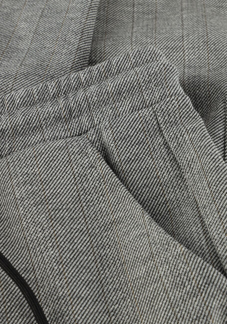 Graue DAILY7 Cargohosen STRIPE CARGO PANTS - large