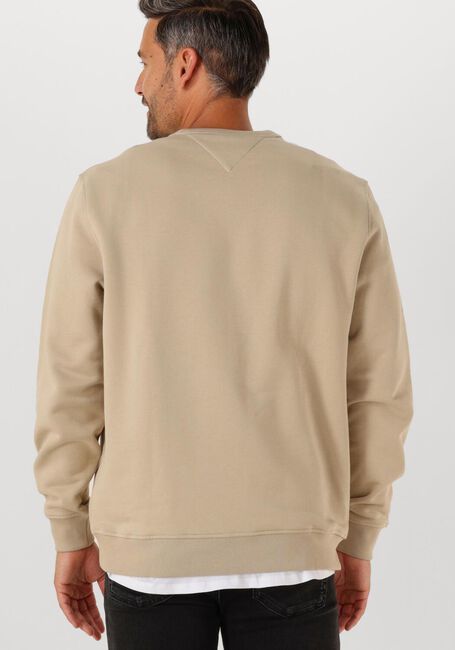 Beige TOMMY JEANS Pullover TJM REG BADGE CREW EXT - large