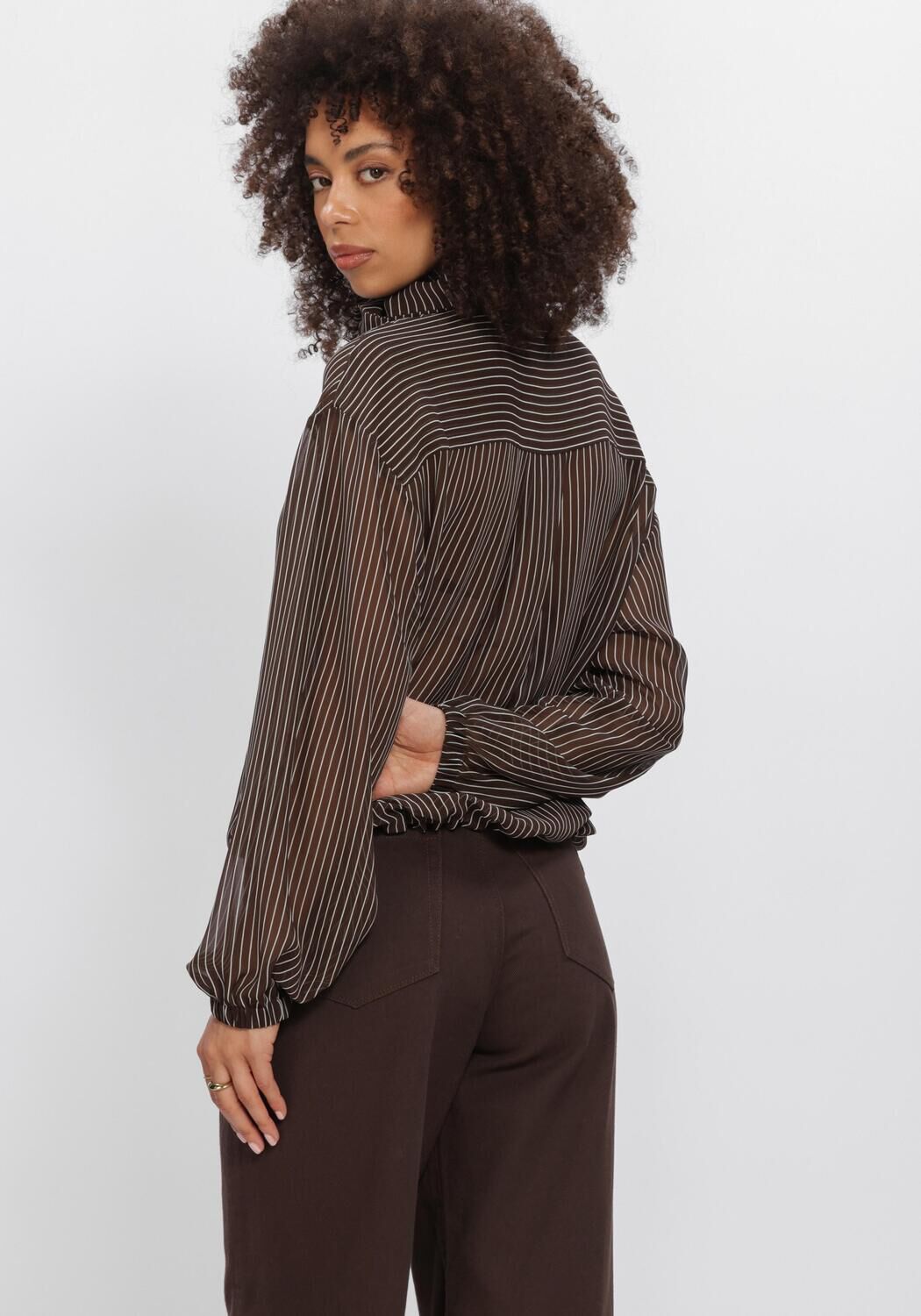 Braune DANTE6 Blusen SHAPIRO PINSTRIPE BLOUSE - large