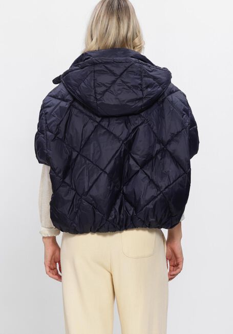 Dunkelblau DEBLON SPORTS Wattierte Jack STEVIE BODYWARMER - large