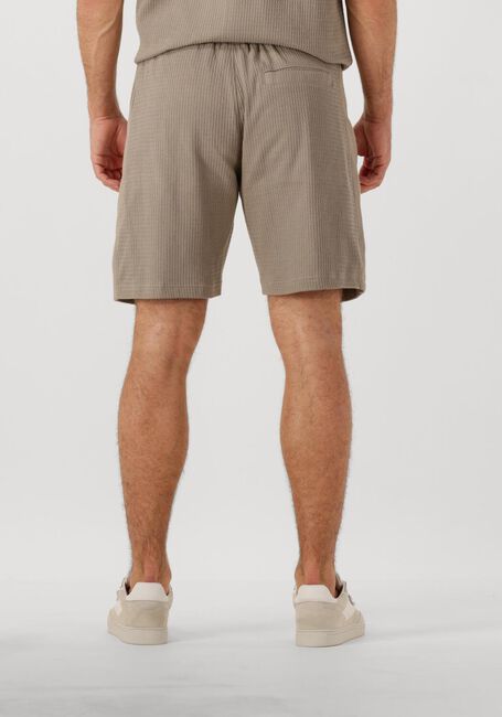 Beige DRYKORN Kurze Hose BRIKKO 522160 - large