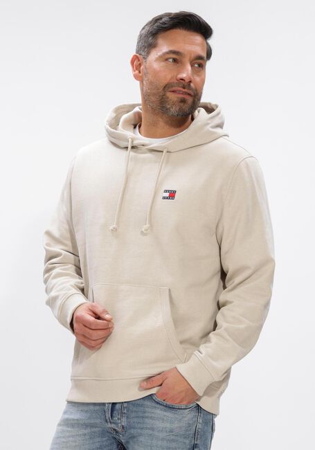 Hellblau TOMMY JEANS Sweatshirt TJM REG BADGE HOODIE EXT - large