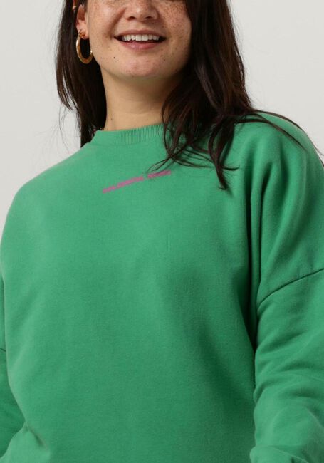 Grüne COLOURFUL REBEL Sweatshirt CR BACK LOGO WASH DROPPED SHOULDER SWEAT - large