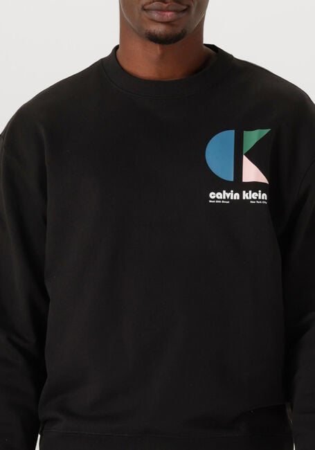 Schwarze CALVIN KLEIN Sweatshirt LS E 350TRRY CK BHS - large