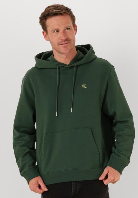 Dunkelgrün CALVIN KLEIN Sweatshirt LS EU 350TERRY MONOGRAM HOODIE - large