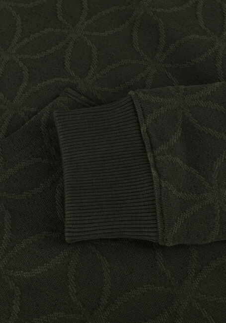 Grüne SCOTCH & SODA Sweatshirt JACQUARD HOODIE - large