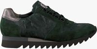 Grüne PAUL GREEN Sneaker 4659 - medium