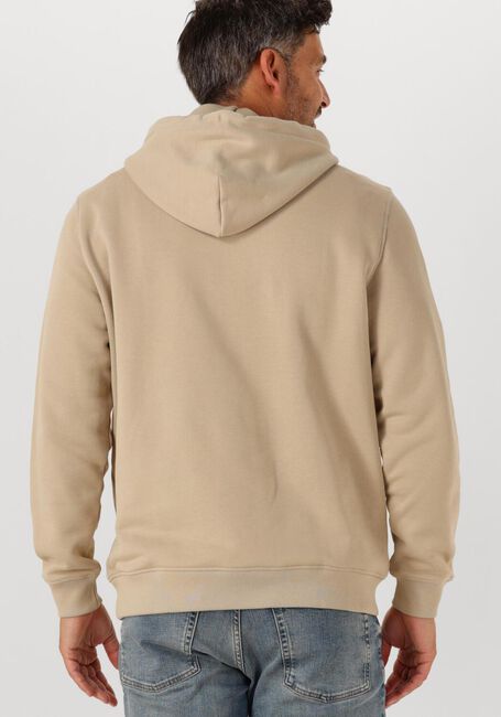 Beige TOMMY JEANS Pullover TJM REG BADGE HOODIE EXT - large