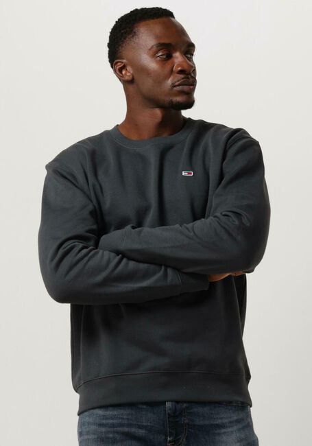 Dunkelgrau TOMMY JEANS Sweatshirt TJM REGULAR FLEECE C NECK - large