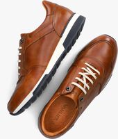 Cognacfarbene VAN LIER Sneaker low 2355500 - medium