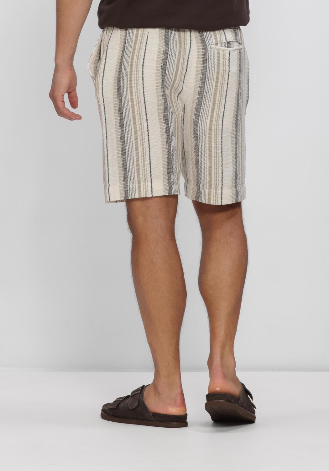 Beige SELECTED MEN Hosen SLHREGCAL SHORTS - large