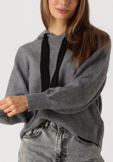 Graue CO'COUTURE Pullover ROW HOODIE KNIT - large