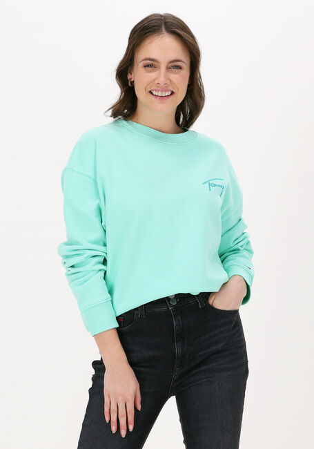 Minze TOMMY JEANS Sweatshirt TJW CROP TOMMY SIGNATURE CREW - large