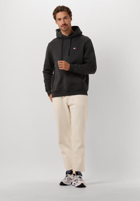 Dunkelgrau TOMMY JEANS Sweatshirt TJM REG BADGE HOODIE EXT - large