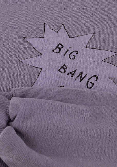 Lila Sproet & Sprout Sweatshirt SWEATSHIRT BIG BANG - large