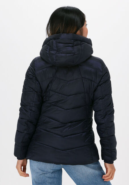 Dunkelblau NATIONAL GEOGRAPHIC Wattierte Jack RE DEVELOPED - large