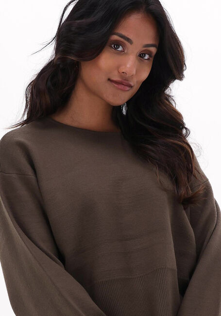 Grüne GESTUZ Pullover TALLIGZ SHORT PULLOVER 5938 - large
