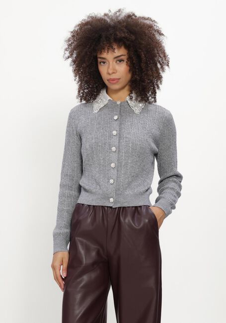 Graue SILVIAN HEACH Pullover CARDIGAN DESMET - large