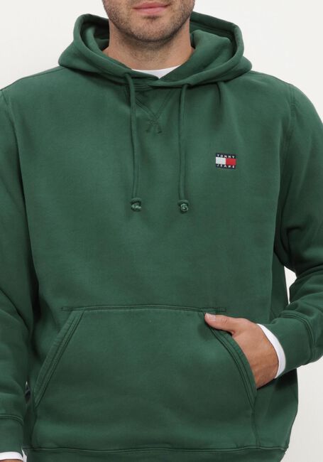 Dunkelgr&uuml;n TOMMY JEANS Sweatshirt TJM REG BADGE HOODIE EXT - large