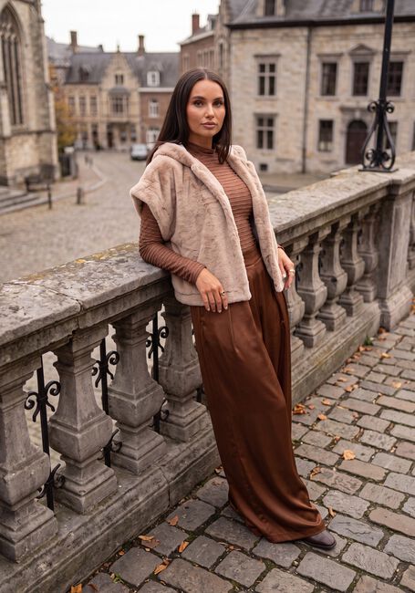Beige NUKUS Gilet XANDRA GILET - large