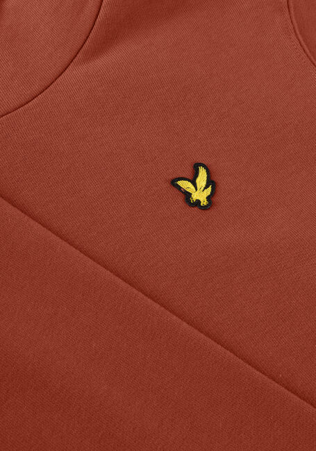 Braune LYLE & SCOTT Pullover & Cardigans PULLOVER HOODIE BOYS - large