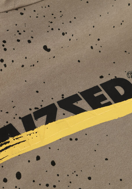 Graue RAIZZED Pullover DEVRIM - large