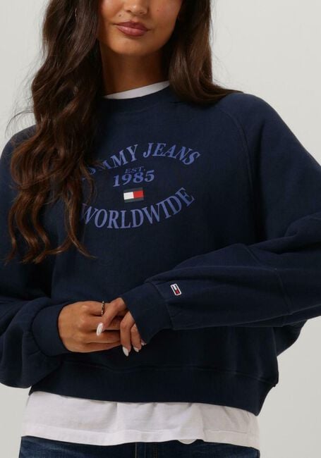 Dunkelblau TOMMY JEANS Pullover RLX WORLDWIDE RAGLAN CREW - large