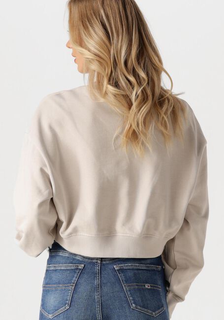Beige CALVIN KLEIN Sweatshirt SCRIPT INSTITUTIONAL CREWNECK - large