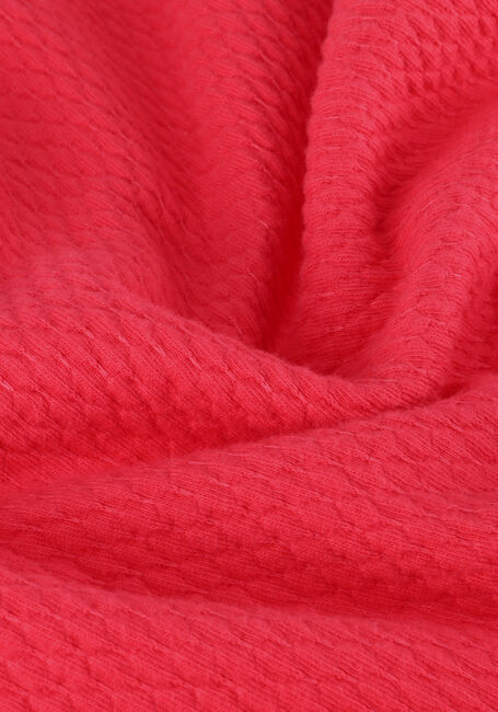 Rosane INDIAN BLUE JEANS T-shirt T-SHIRT CROPPED IB - large