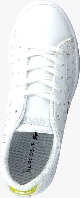 Weiße LACOSTE Sneaker low CARNABY EVO 118 1 SPC - large